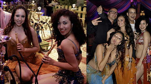 Bellydancers shows